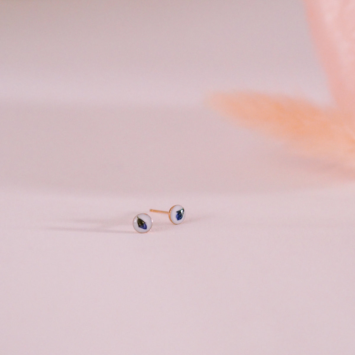 „Forget-Me-Not“ - Ohrstecker echte Vergissmeinnicht Knospe, 14k Goldfilled, 4mm