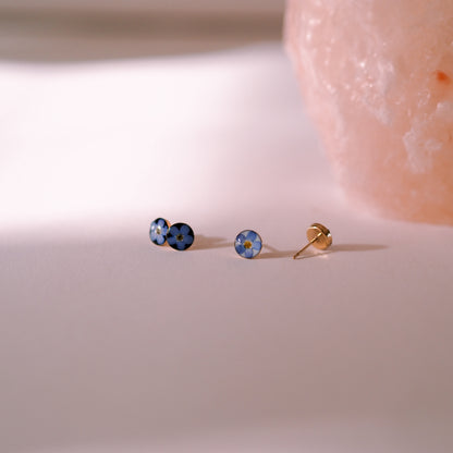 Ohrstecker „Forget-me-not“ - echte Vergissmeinnicht, 14k Goldfilled, 6mm