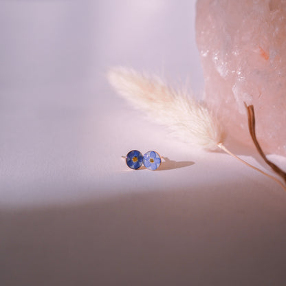 Ohrstecker „Forget-me-not“ - echte Vergissmeinnicht, 14k Goldfilled, 6mm