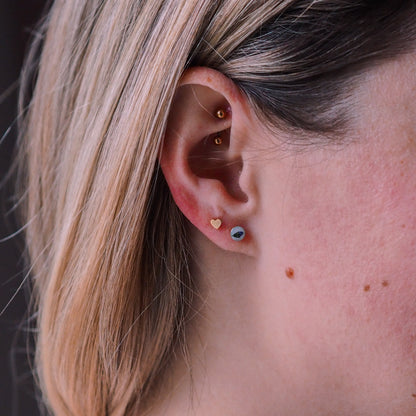 „Forget-Me-Not“ - Ohrstecker echte Vergissmeinnicht Knospe, 14k Goldfilled, 4mm