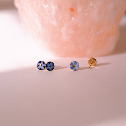 Ohrstecker „Forget-me-not“ - echte Vergissmeinnicht, 14k Goldfilled, 6mm
