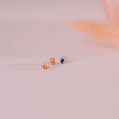 „Forget-Me-Not“ - Ohrstecker echte Vergissmeinnicht Knospe, 14k Goldfilled, 4mm